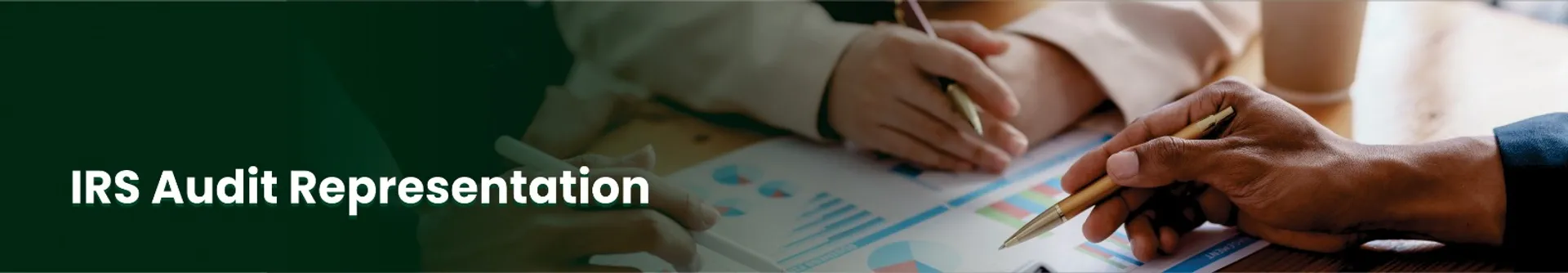 IRS Audit Representation