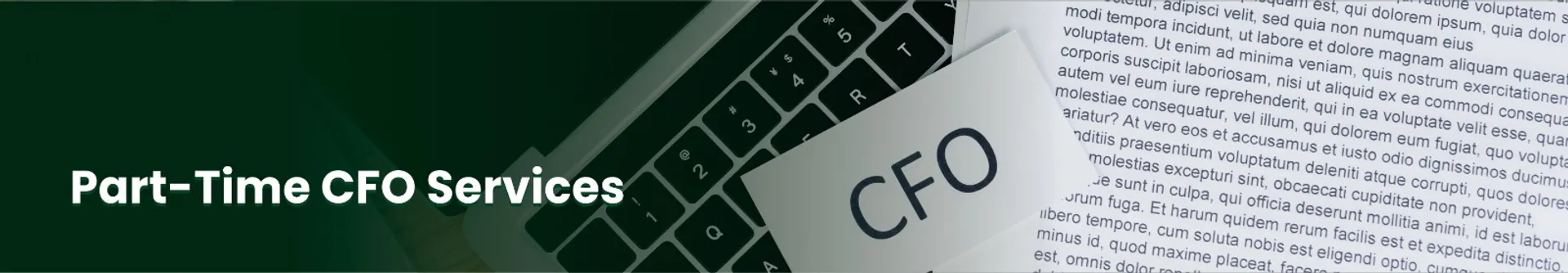 Part time CFO services